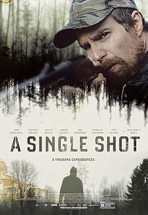  A Single Shot (2013) 