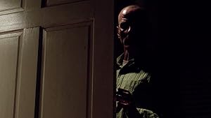 "Breaking Bad" Bit by a Dead Bee (TV Episode 2009) - IMDb