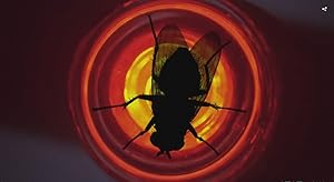 "Breaking Bad" Fly (TV Episode 2010) - IMDb